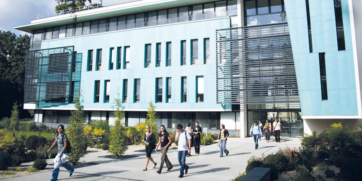 Universitetinis bendradarbiavimas