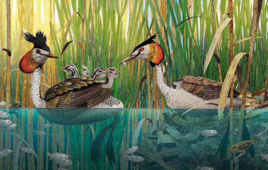 Vaikų kino klubas „Ciné-goûter“