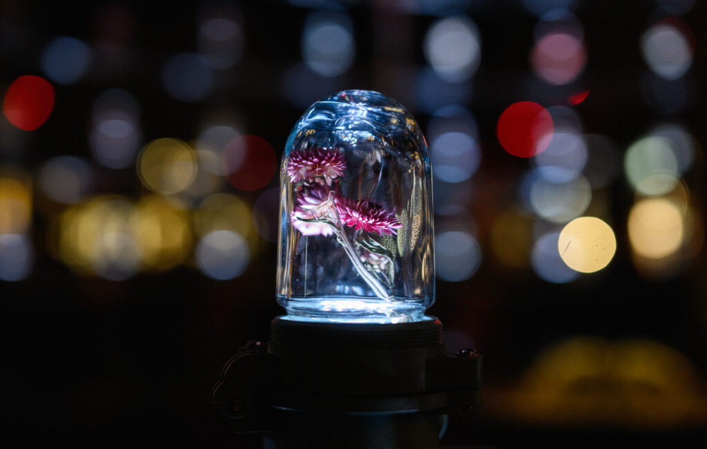 Vilniaus šviesų festivalis