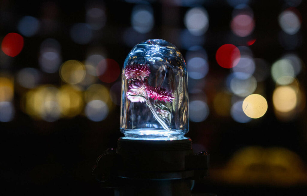 Festival des lumières de Vilnius