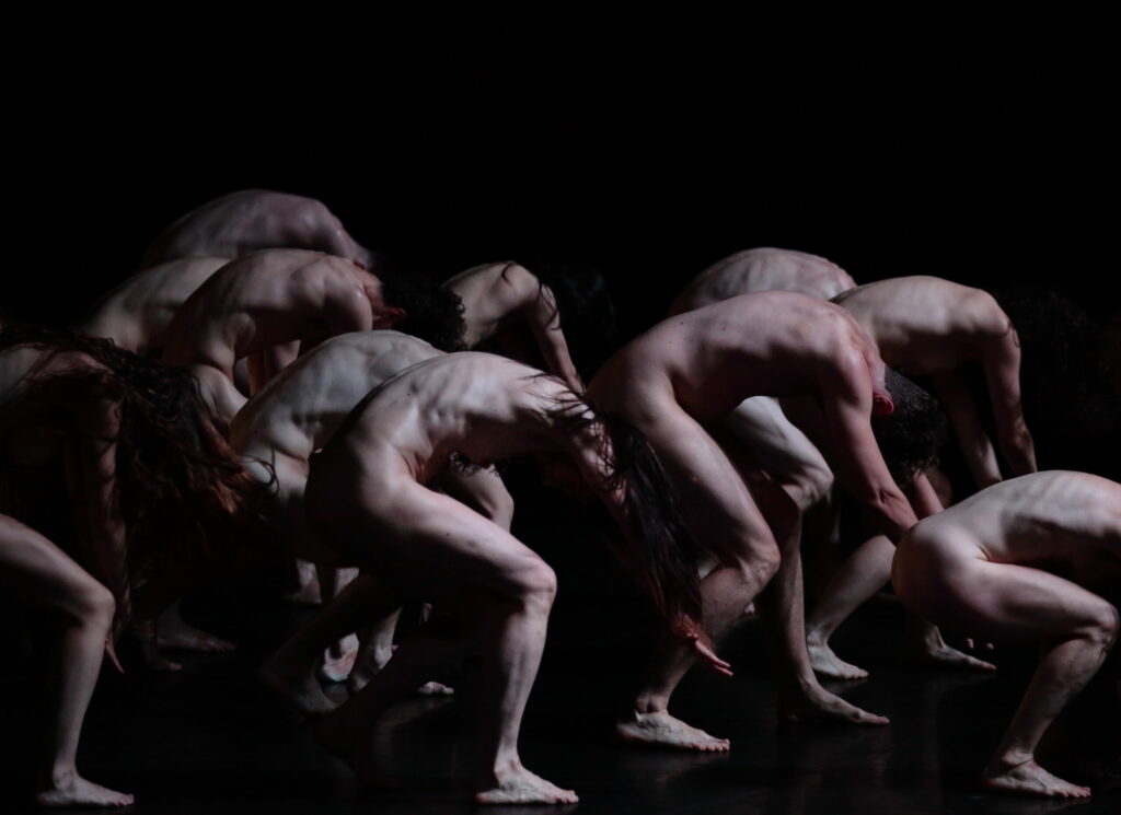 Šiuolaikinio šokio festivalis NEW BALTIC DANCE